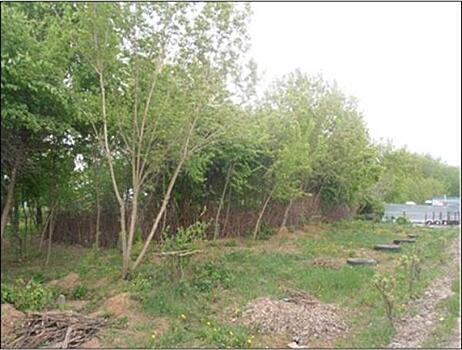 На юге РФ с помощью открытых торгов продали два участка