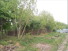 На юге РФ с помощью открытых торгов продали два участка