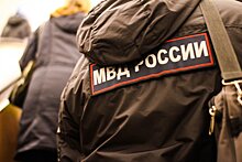 Министр внутренних дел России признал недокомплектованность личного состава