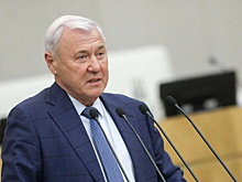 В ГД рассказали, какая страна на самом деле допустила дефолт