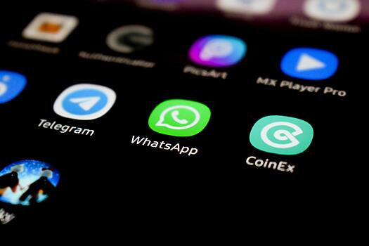 WhatsApp начнёт опрашивать пользователей о том, всё ли им нравится в мессенджере