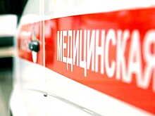 «Известия»: внук Хрущёва Алексей Аджубей болел красной волчанкой