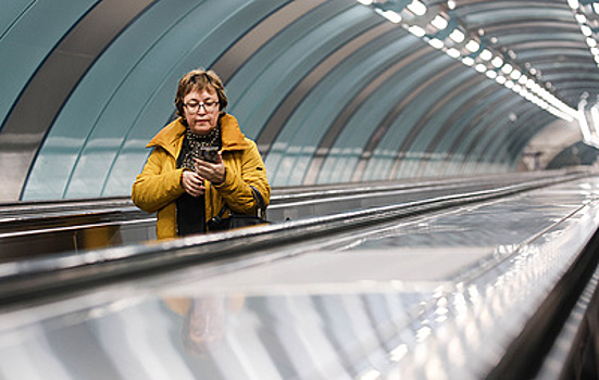 МВД рассказало о мошенничестве при покупке билетов на новогодние выступления