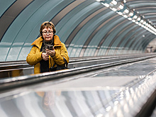 МВД рассказало о мошенничестве при покупке билетов на новогодние выступления