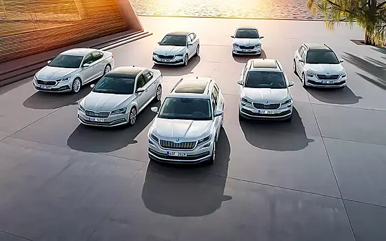 Стало известно, откуда в Россию повезут Skoda Octavia