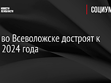 Каток во Всеволожске достроят к концу 2024 года