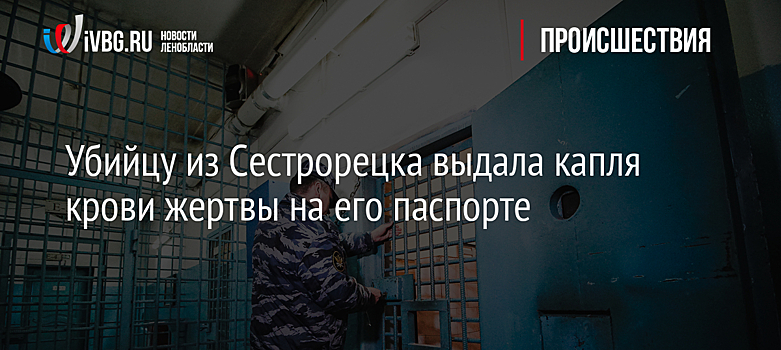 Убийцу из Сестрорецка выдала капля крови жертвы на его паспорте