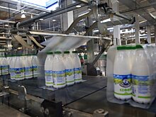 В Роскачестве рассказали, как выбрать хороший кефир