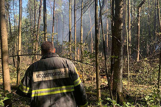 ТАСС: полет упавшего под Коломной Sukhoi Superjet 100 носил тестовый характер