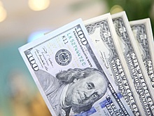 Удельный вес доллара в РФ упал до минимумов июля 2014 года