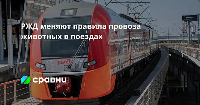 РЖД меняют правила провоза животных в поездах