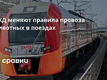 РЖД меняют правила провоза животных в поездах