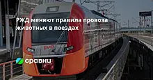 РЖД меняют правила провоза животных в поездах