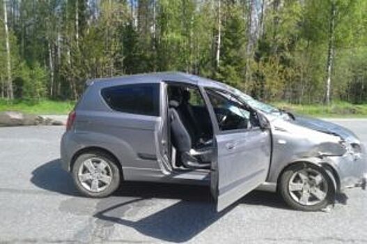 В Рыбинском районе водитель иномарки сбил лося