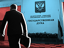 Парламентский контроль по-российски: фишка дальше не идёт?