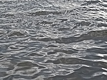 Качество воды в реке Обь встревожило новосибирских журналистов