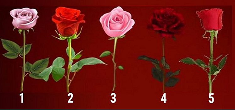 Тест: роза, которая первой бросилась в глаза, расскажет, сбудутся ли ваши желания