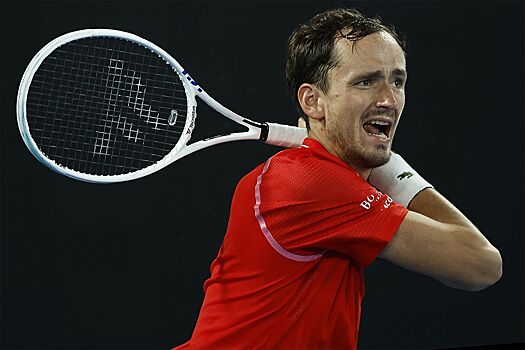 Камельзон прокомментировал победу Медведева над Оже-Альяссимом на Australian Open