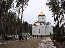 Сторонники отреченного от церкви схиигумена Сергия просят помощи у Путина