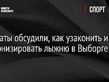 Депутаты обсудили, как узаконить и модернизировать лыжню в Выборге