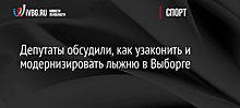 Депутаты обсудили, как узаконить и модернизировать лыжню в Выборге