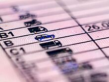 ГИБДД рассказала о замене водительских прав по «упрощенке»