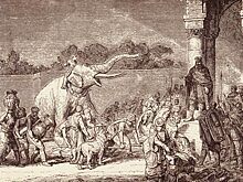 Слон для императора: как экзотический зверь повлиял на историю Европы