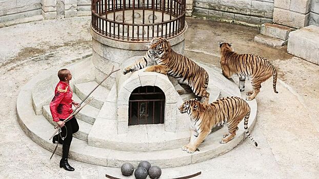 В "Форт Боярде" живых тигров заменят виртуальные