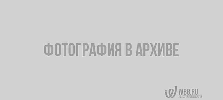Более 200 лет со дня открытия памятника: чем прославились Минин и Пожарский?