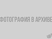 Узники концлагерей: что известно о фабриках смерти и какие подвиги остались в истории холокоста?