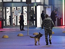 МИД Турции оценил зависимость от газа из России