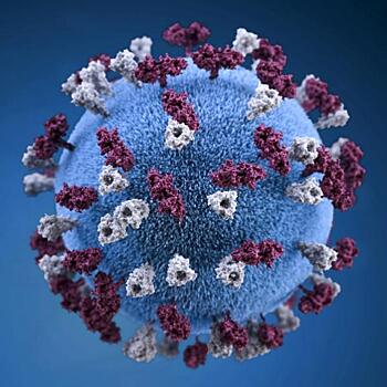 Ученые определили, какого цвета коронавирус