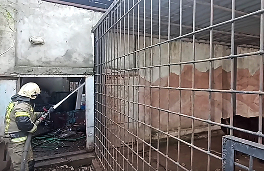 При пожаре в зоопарке в Евпатории погибли более 200 экзотических животных