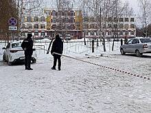 Восьмиклассница устроила стрельбу в брянской школе из-за мальчика