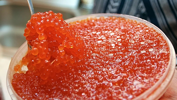 В Росрыболовстве рассказали, что будет с ценами на красную икру к Новому году