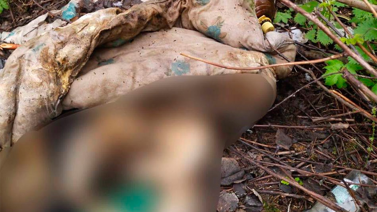 В лесу в Новой Москве обнаружили скелет человека