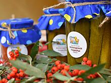 Подведены итоги масштабного конкурса «Вологодское подворье», который проходил в области в 11-й раз