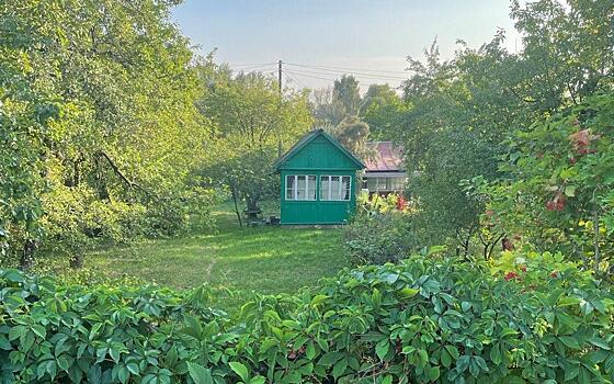 Рязанцам рассказали, как воспользоваться «дачной амнистией»