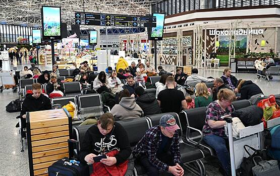 Россиян предупредили о многочасовых задержках в аэропорту Сочи