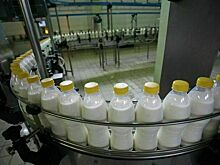 Россияне стали есть больше молочной продукции