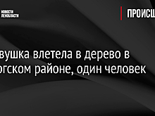 Легковушка влетела в дерево в Выборгском районе, один человек погиб