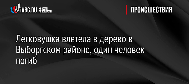 Легковушка влетела в дерево в Выборгском районе, один человек погиб