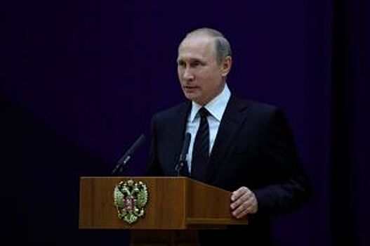 Перед пресс-конференцией Путина СК отчитался по «деле о борзоте»