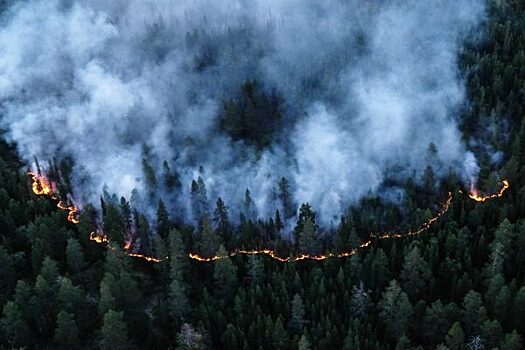В Красноярском крае будут устанавливать видеокамеры для раннего обнаружения лесных пожаров