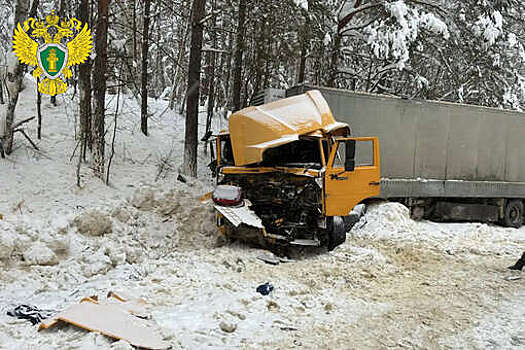 Три человека пострадали и четыре не выжили в ДТП с участием грузовика под Пензой
