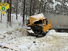 Три человека пострадали и четыре не выжили в ДТП с участием грузовика под Пензой
