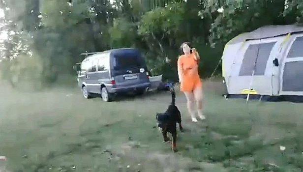 Хозяйка ротвейлера в ответ на замечание натравила собаку и попала на видео