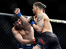 Дариуш ярко нокаутировал Клозе на турнире UFC248. Видео