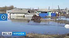 Жители ещё одного села Воронежской области из-за половодья не могут выйти из своих домов