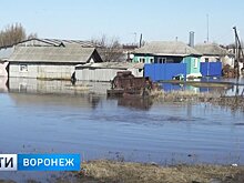 Жители ещё одного села Воронежской области из-за половодья не могут выйти из своих домов